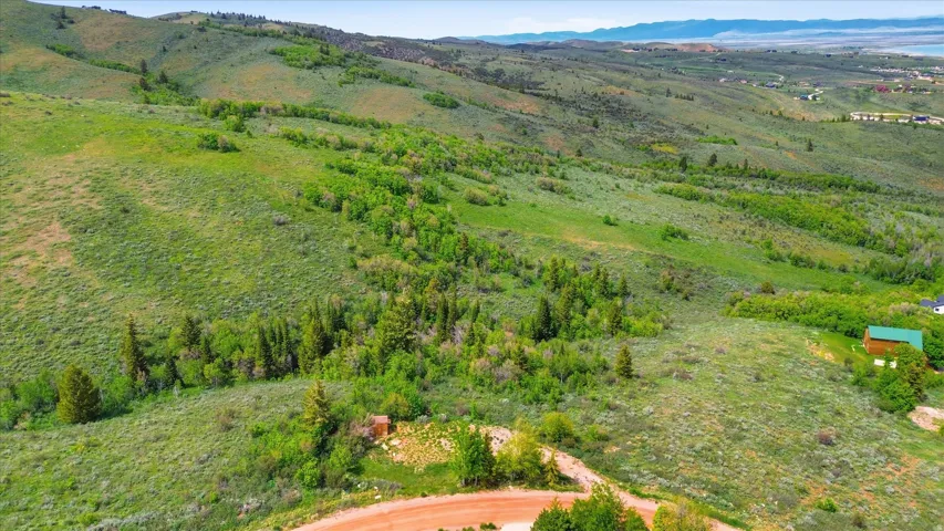 Elevated terrain featuring expansive natural greenery and scattered trees