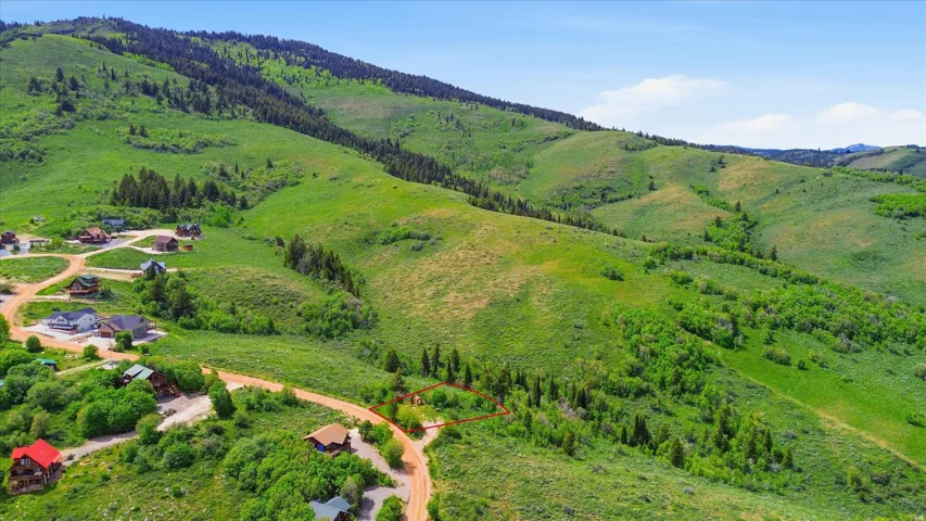 Expansive natural landscape featuring rolling green hills and mature trees