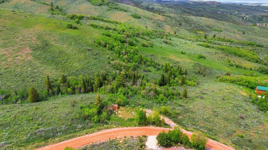 Expansive hillside property featuring diverse greenery, mature trees, and a visible gravel road