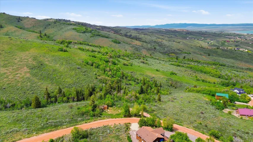 Expansive hillside property featuring a mix of evergreen and deciduous trees, a winding dirt road, and distant water