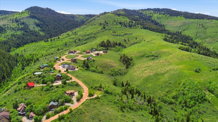 Mountainous terrain featuring verdant hillsides and scattered coniferous trees