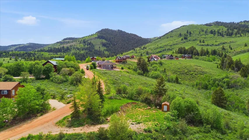 Rolling green hills with scattered evergreen trees and deciduous foliage