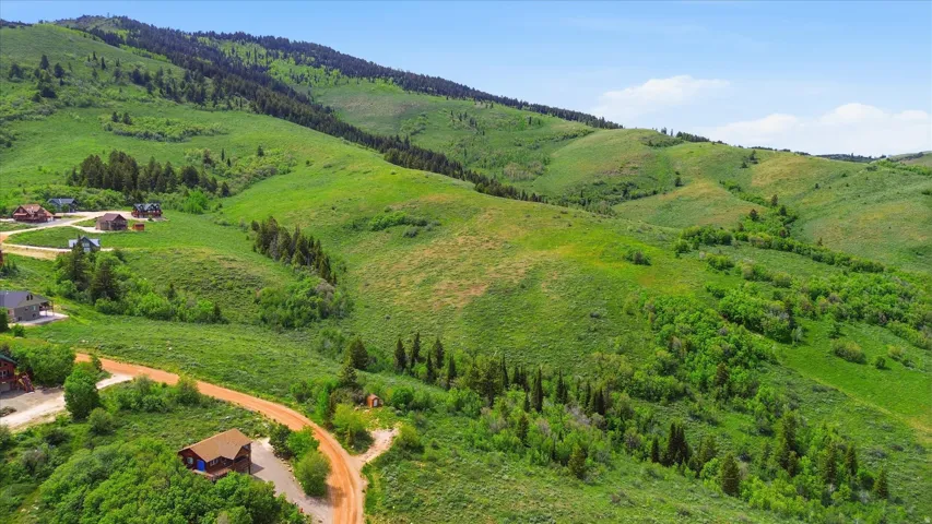 Expansive mountainous terrain featuring lush green hillsides and scattered coniferous trees