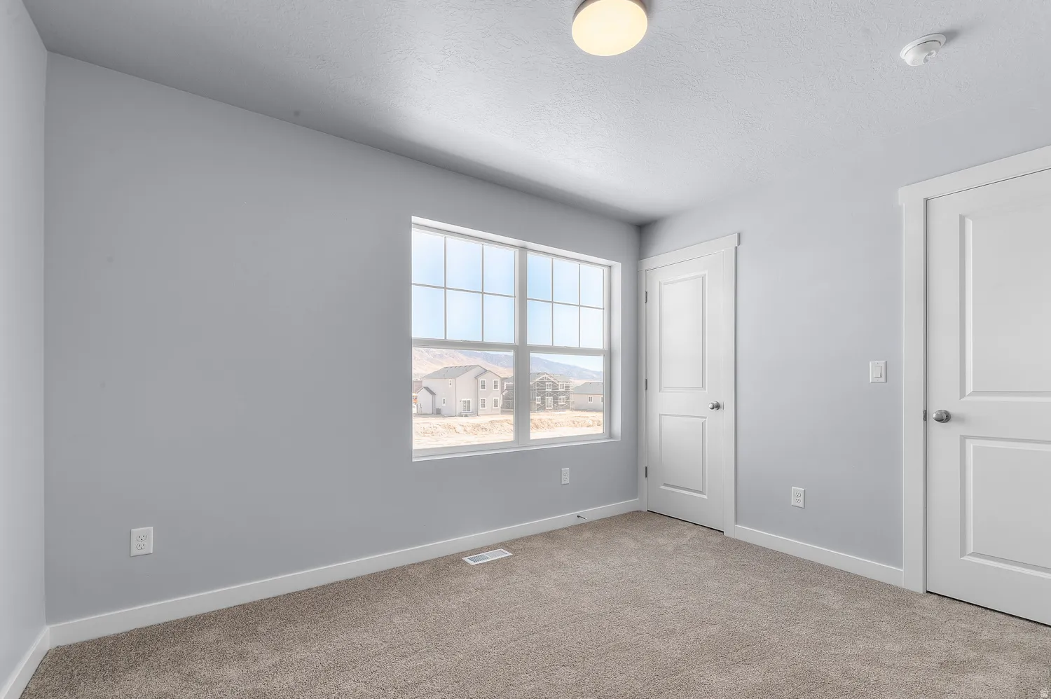 Carpeted room featuring a double-pane window with grids, white trim, and light gray walls
