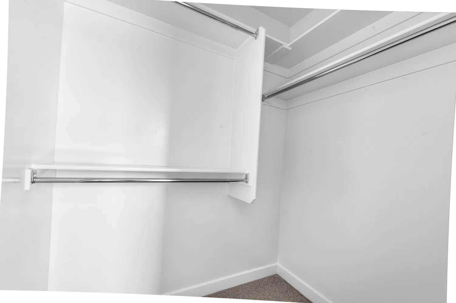 Walk-in closet featuring white walls, white trim, and carpet flooring