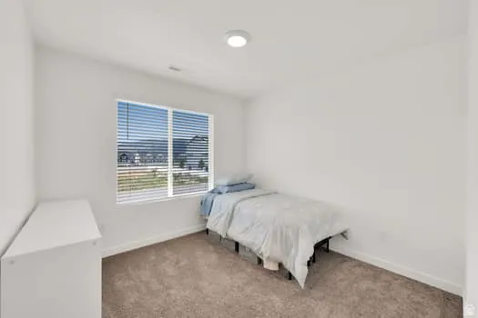 Bright room featuring a large window with blinds, overhead flush-mount lighting, and neutral carpeting
