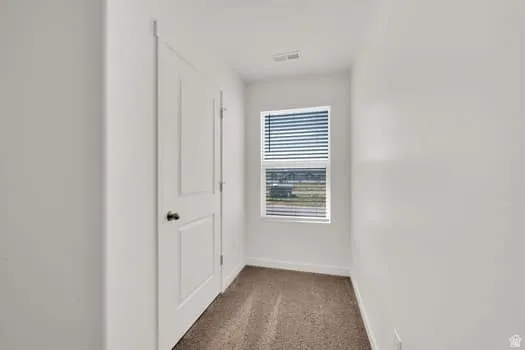 Hallway featuring neutral wall paint, white trim, a solid panel door with dark hardware, a single window with blinds, and carpet flooring
