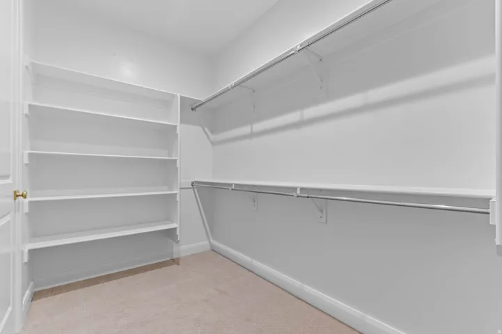 Walk-in closet featuring extensive white shelving, multiple hanging rods, and light beige carpet flooring