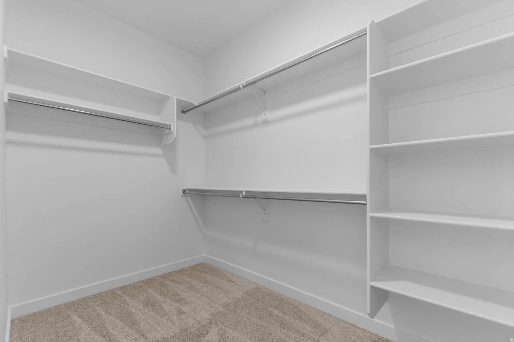 Walk-in closet with carpet flooring, white shelving units, and multiple chrome hanging rods