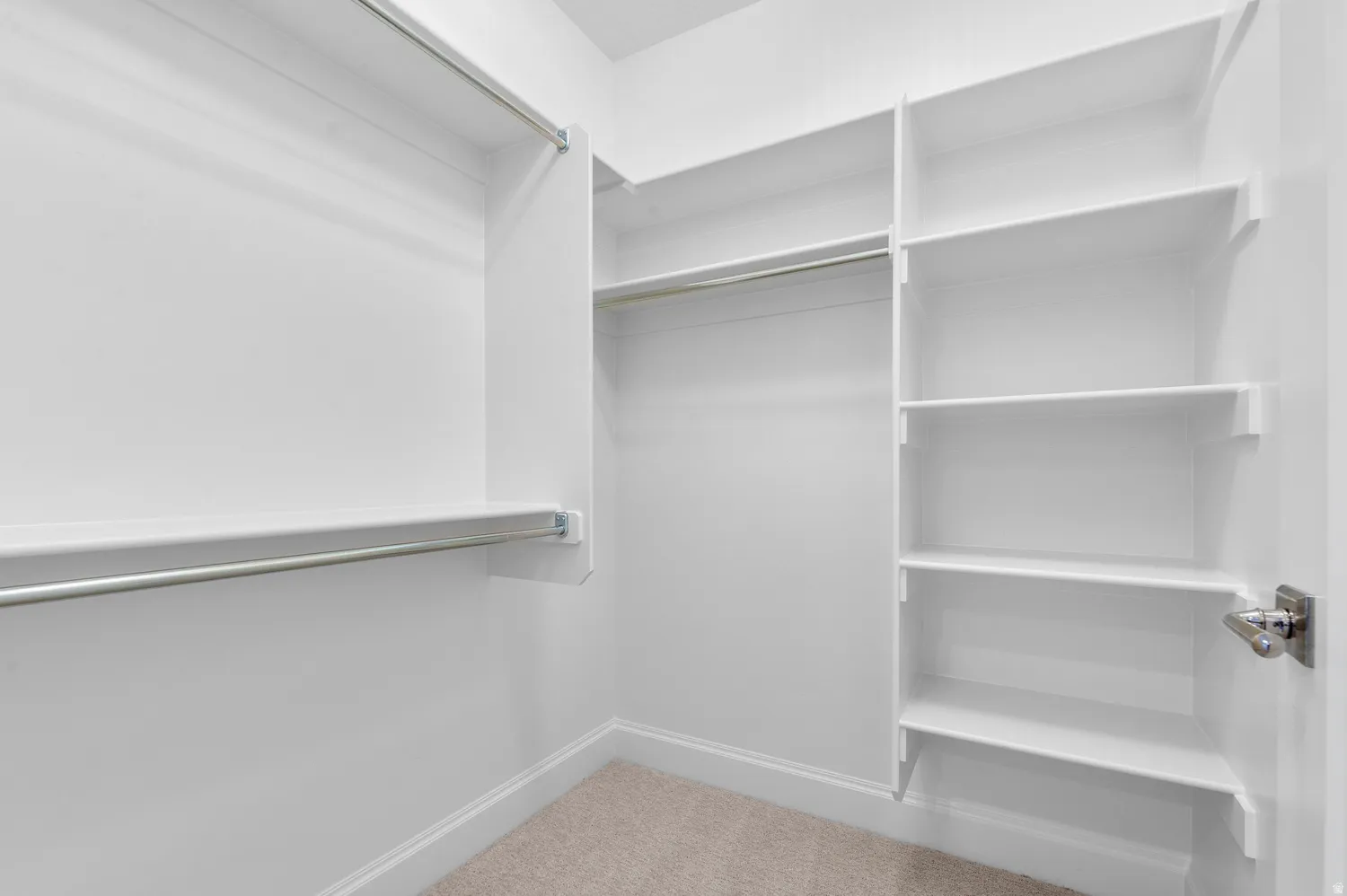 Walk-in closet featuring white built-in shelving, chrome hanging rods, matching baseboards, and neutral carpet flooring
