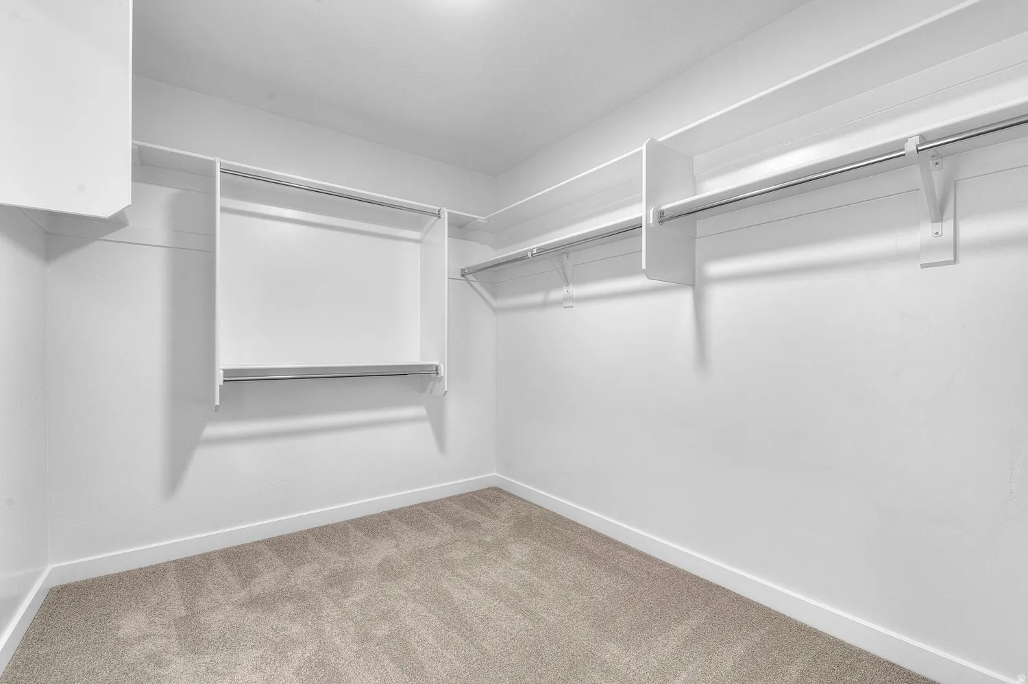Spacious walk-in closet featuring light-toned carpeting, white walls, multiple shelving units, and integrated hanging rods for organized storage
