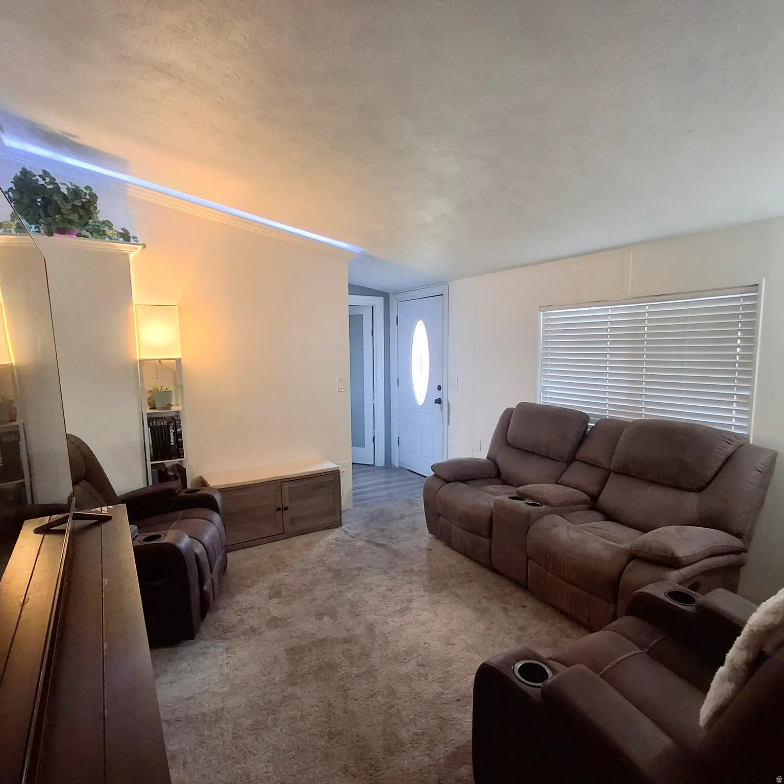 Spacious living area featuring neutral-toned walls, plush carpeting, and a white entry door with an oval glass insert