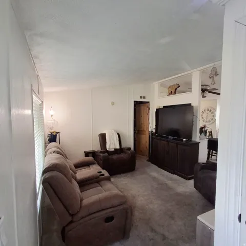 Living area featuring neutral wall finishes, light grey carpeting, window with blinds, and a built-in display shelf