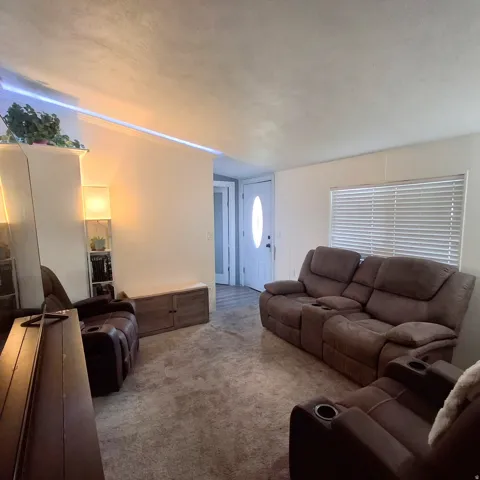 Spacious living area featuring neutral-toned walls, plush carpeting, and a white entry door with an oval glass insert