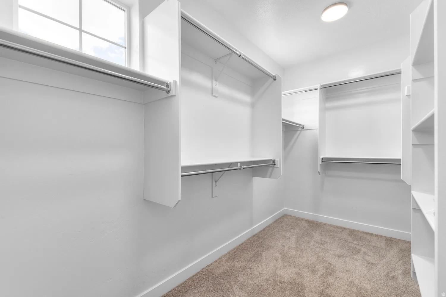 Walk-in closet featuring white built-in shelving, hanging rods, carpet flooring, and an overhead light fixture