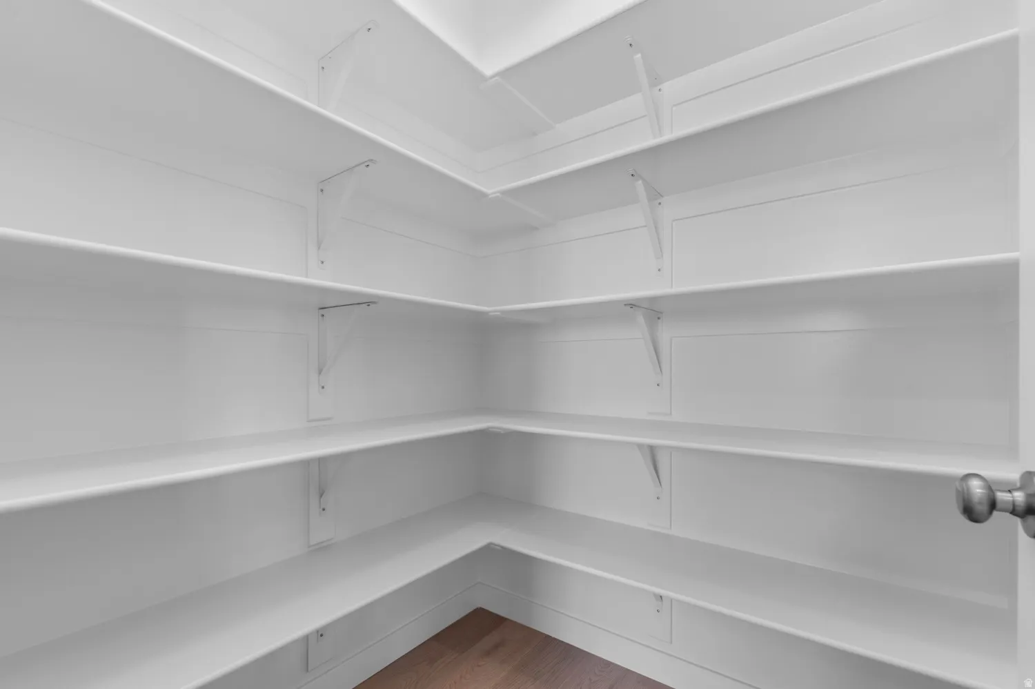 Walk-in pantry featuring extensive white shelving, integrated wall supports, and wood-finish flooring