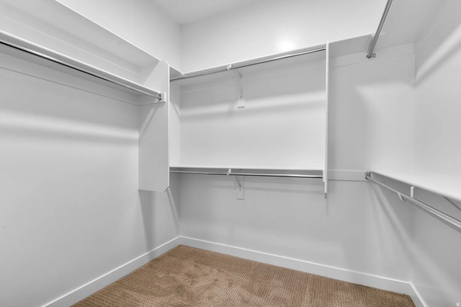 Spacious walk-in closet featuring white shelving, multiple hanging rods, and neutral-toned carpeting