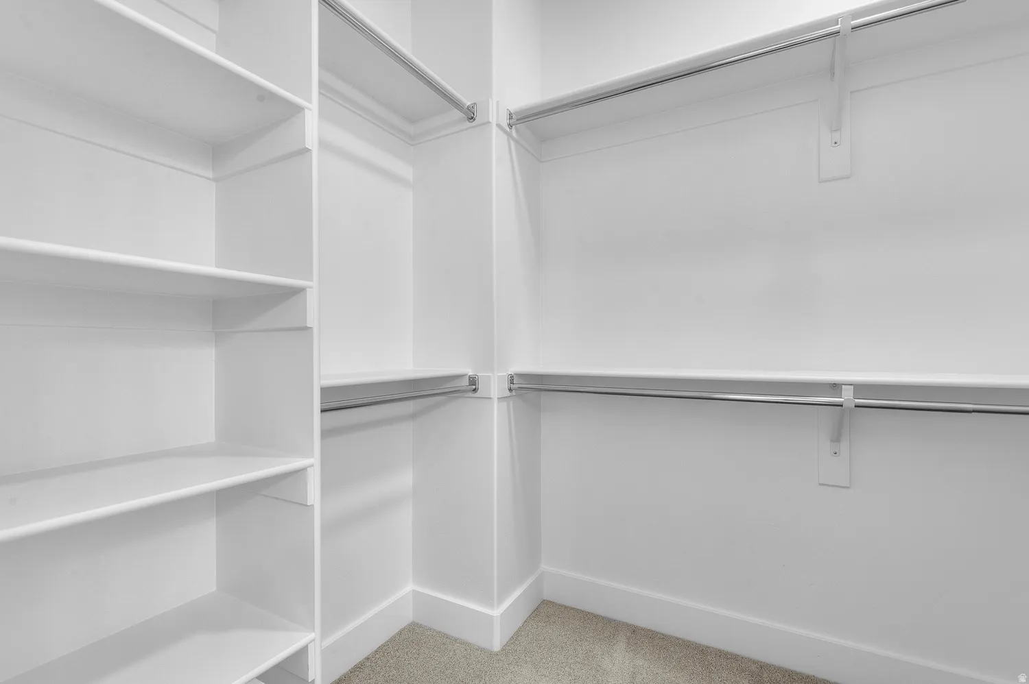 Walk-in closet featuring white built-in shelving, multiple hanging rods, and light-toned carpet flooring