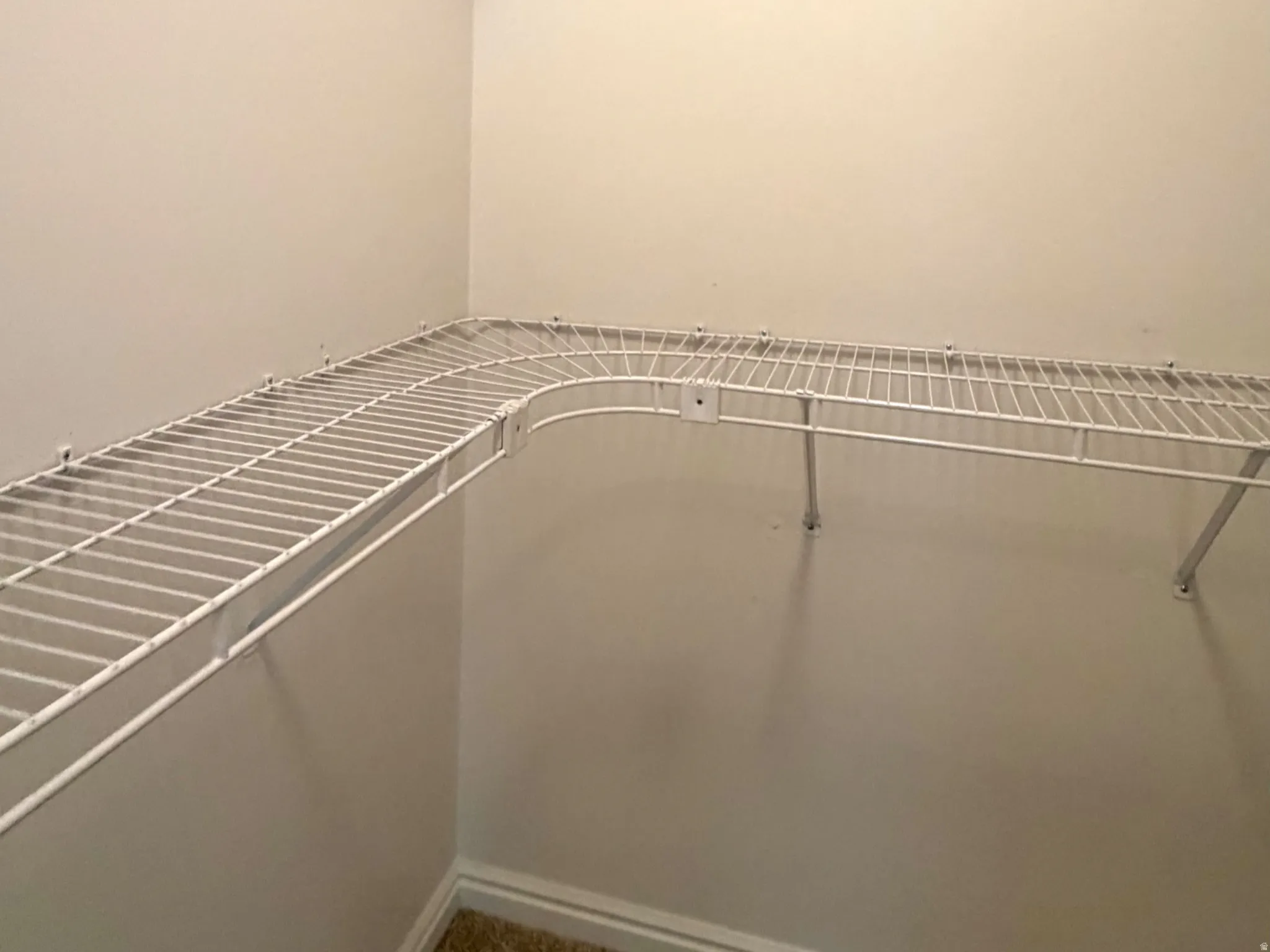 Walk-in closet featuring white wire shelving, wall-mounted support brackets, neutral wall paint, white baseboards, and carpet flooring