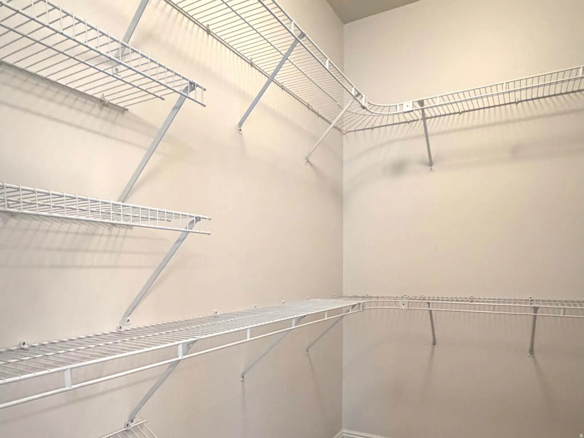 Walk-in closet featuring extensive wire shelving, multiple hanging rods, and carpeted flooring