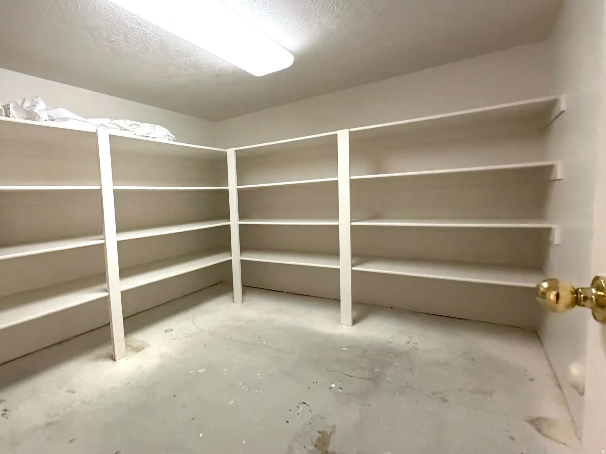 Spacious walk-in pantry featuring extensive built-in shelving, providing ample storage capacity