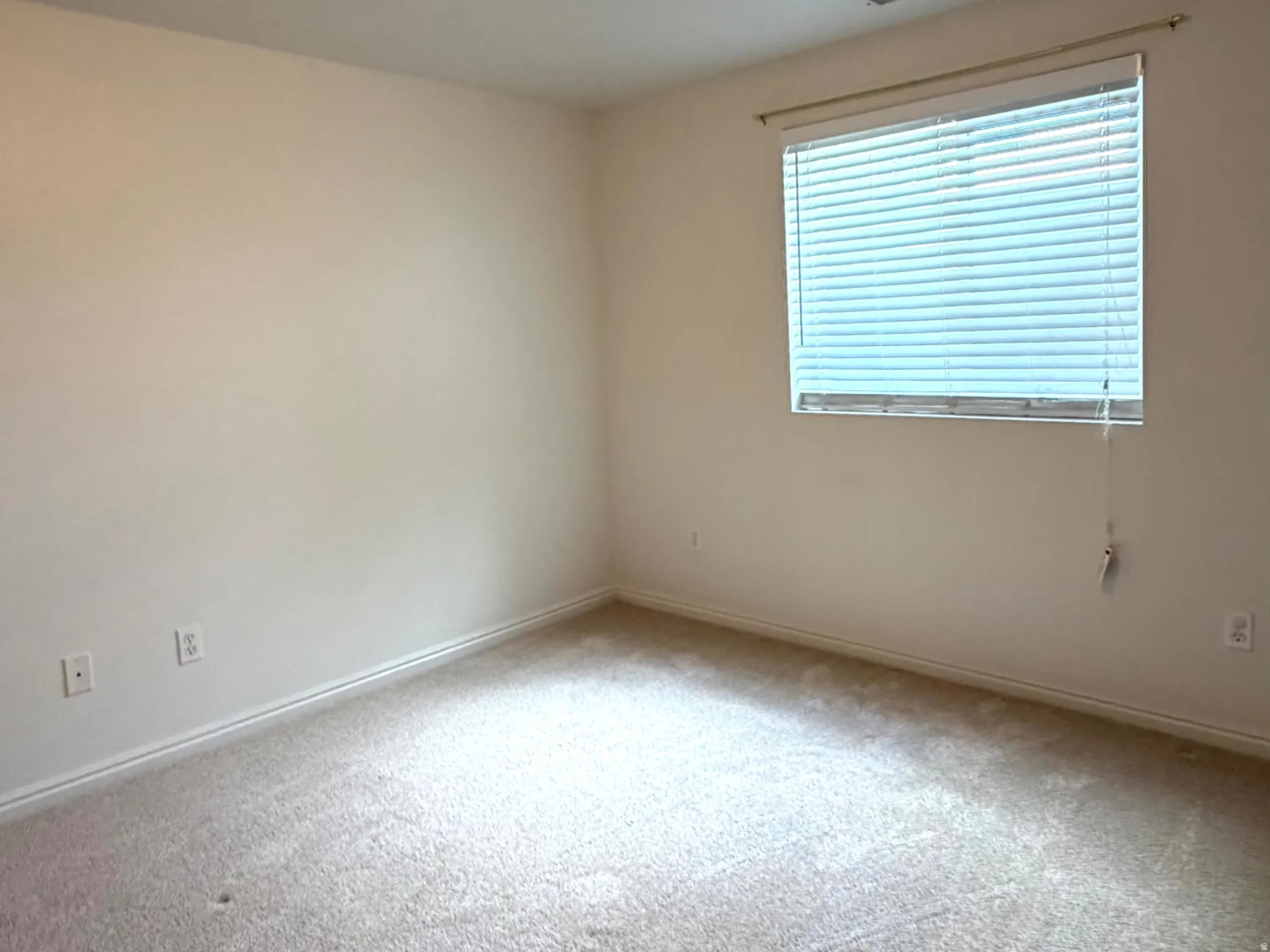 Carpeted room featuring a ceiling-mounted light fixture, neutral wall paint, and a window with horizontal blinds