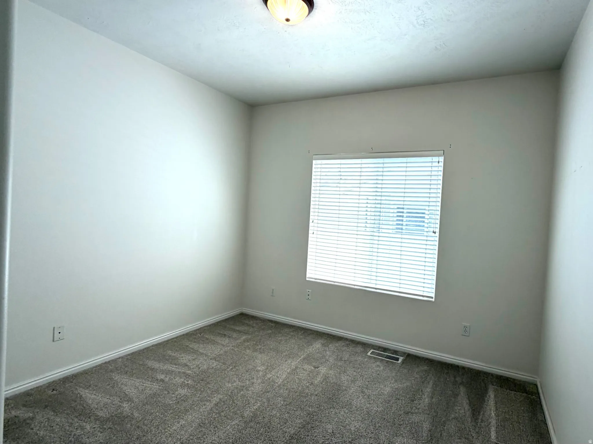 Carpeted room featuring a single window with blinds, a flush-mount ceiling light fixture, and white baseboards