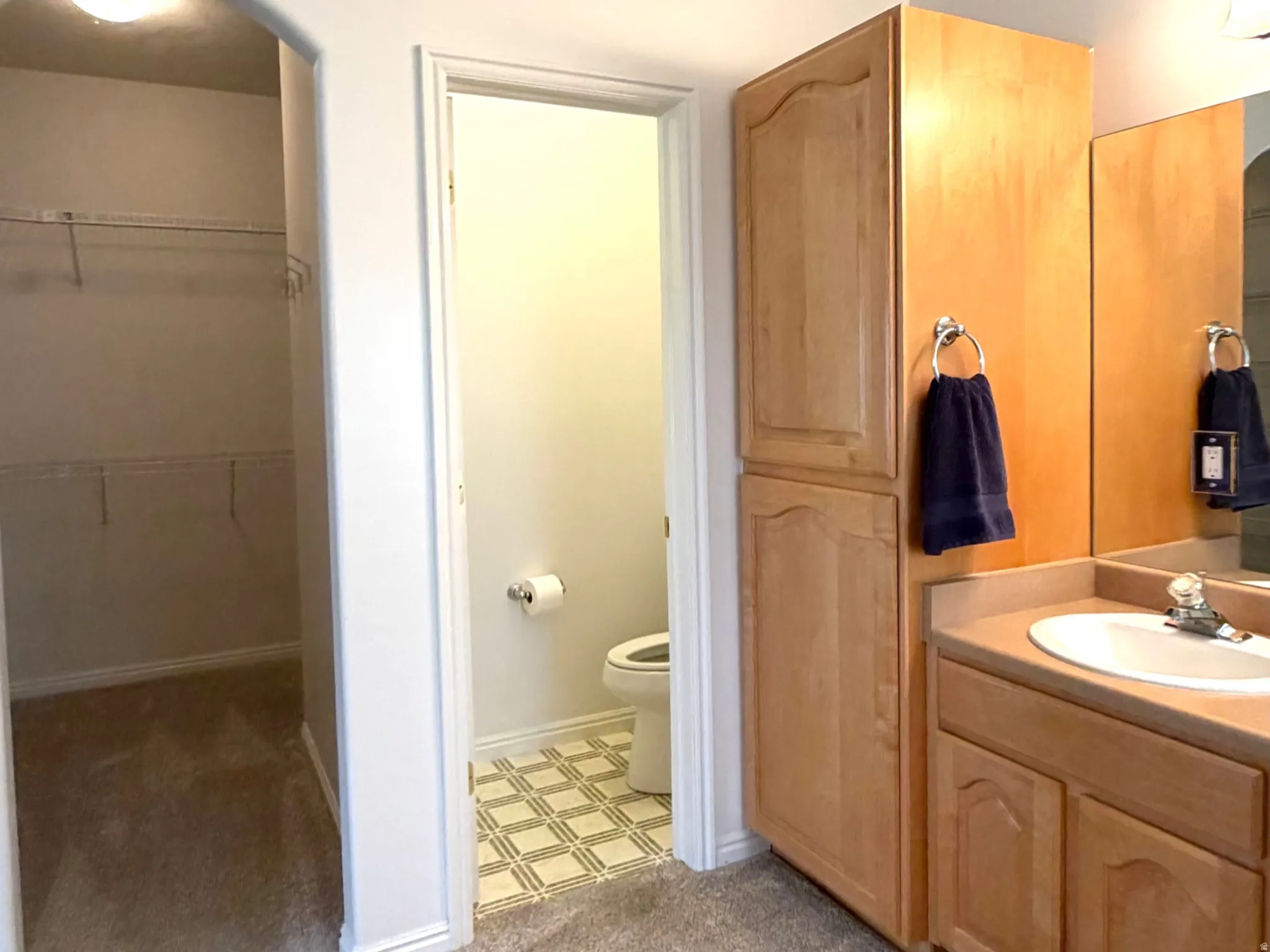 Carpeted flooring throughout, featuring a natural wood-finish vanity with a built-in sink and a large mirror