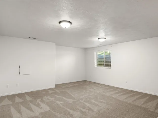 Carpeted room featuring a single window with blinds, white walls, and two ceiling-mounted light fixtures