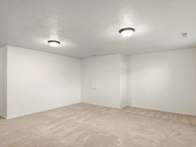 Spacious room featuring neutral carpeting, white wall paint, and two flush-mount ceiling lights