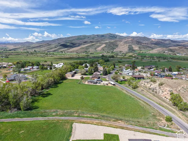 Expansive green space featuring a paved road, mature trees, and mountainous terrain in the background