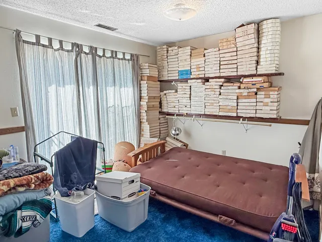 Room featuring blue carpeting, a textured ceiling, a ceiling light fixture, and a wall-mounted shelving system