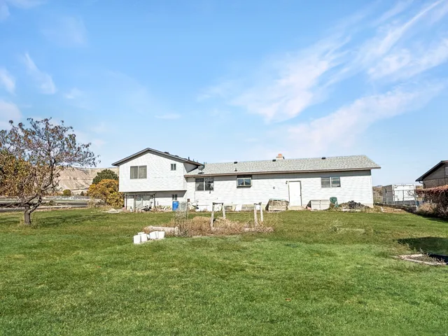 Expansive rear yard featuring green lawn, mature trees, and a distant mountain backdrop