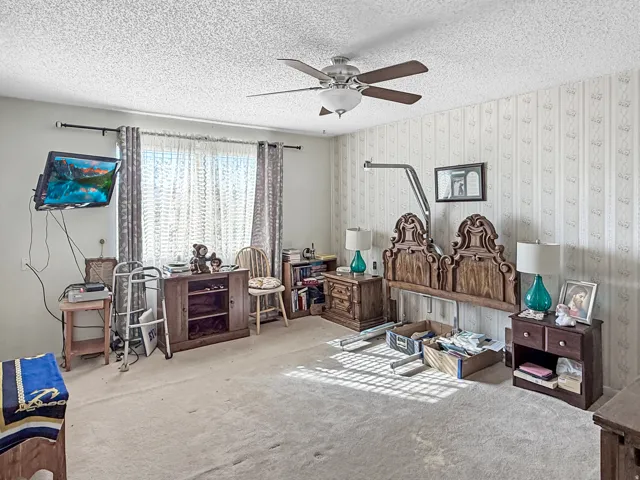 Carpeted room featuring a ceiling fan, window with curtain rods, and textured wall covering