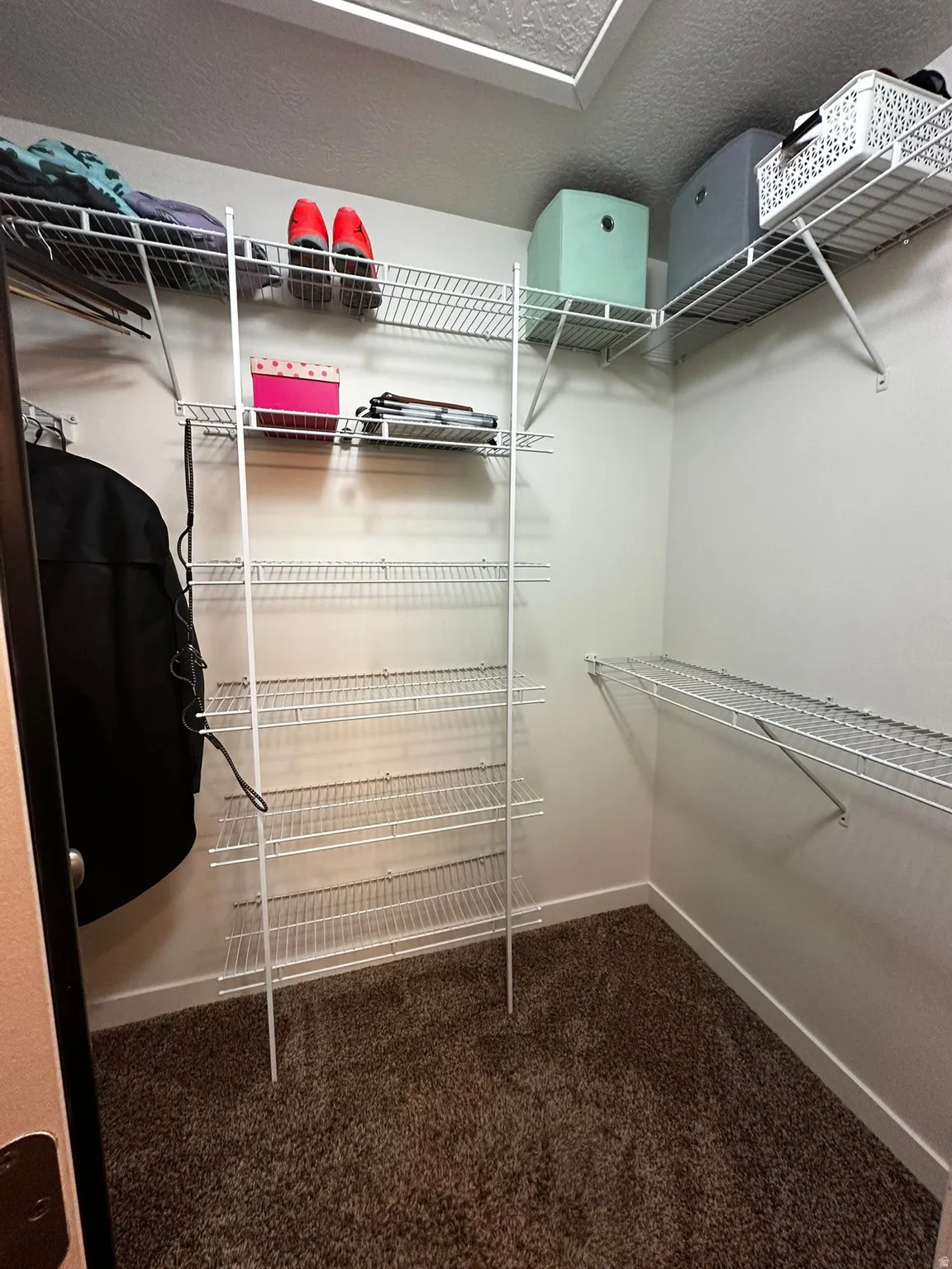 Walk-in closet featuring built-in wire shelving, overhead storage, and carpet flooring