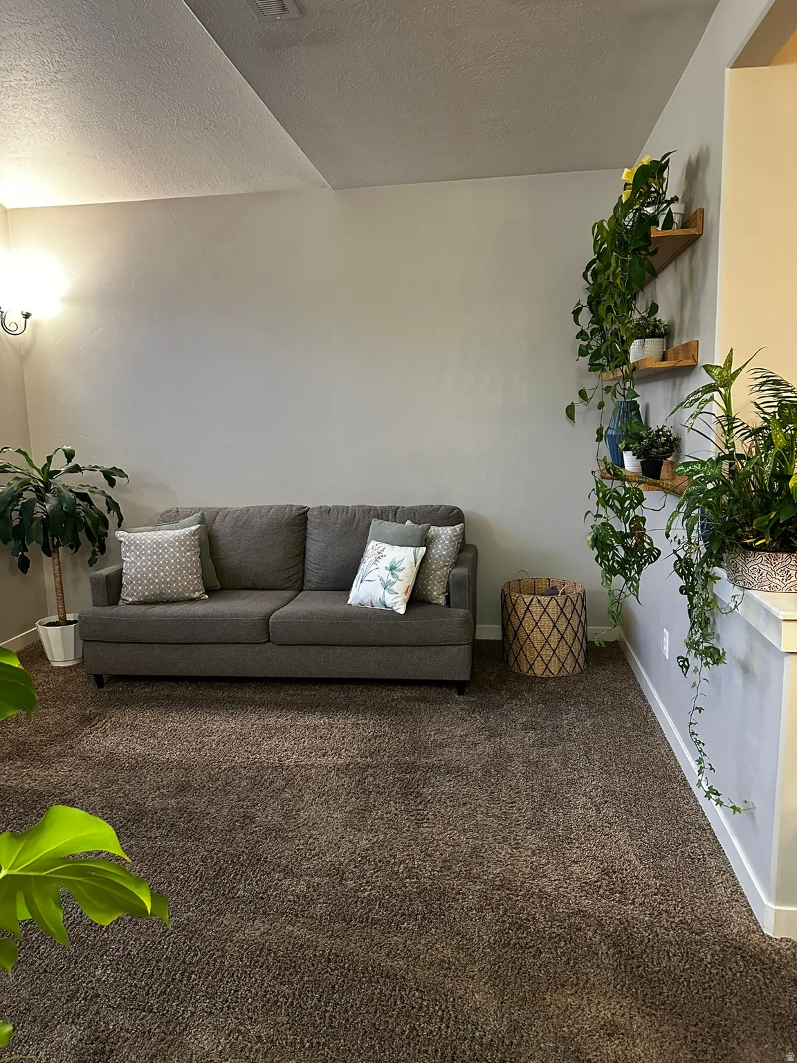 Plush carpeted flooring complements light-toned walls