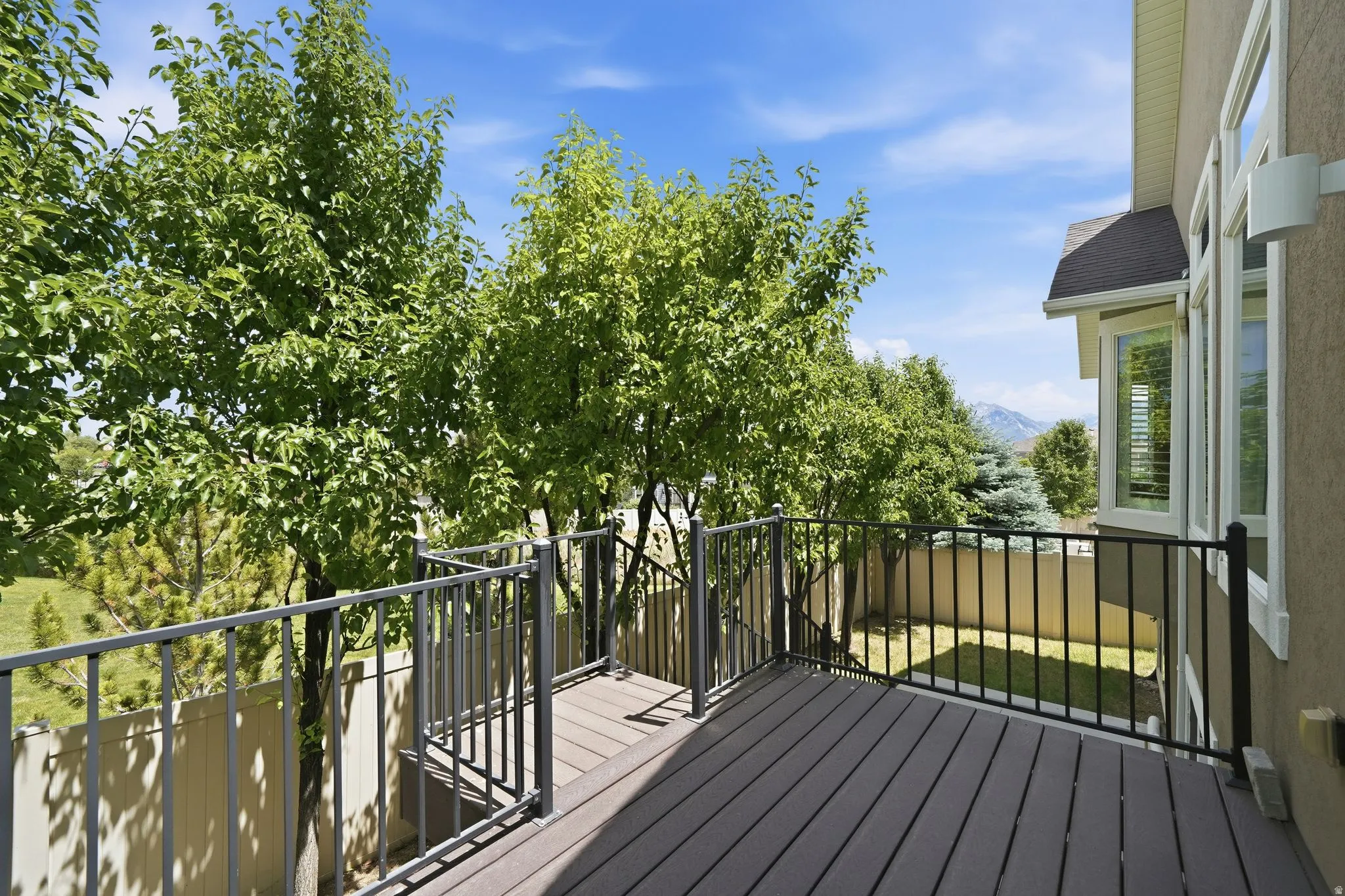 Exterior deck with composite flooring and black metal railings