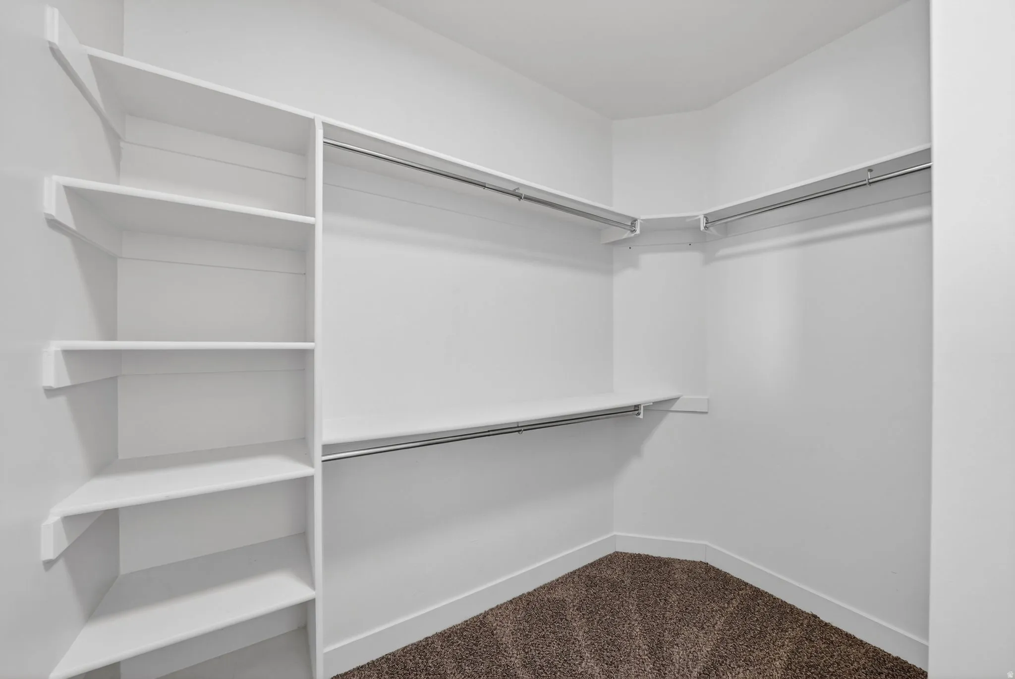 Walk-in closet featuring built-in shelving, multiple hanging rods, white walls, white trim, and carpet flooring