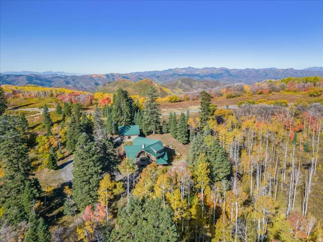 Mountain retreat featuring a green metal roof and a multi-level design, surrounded by a dense forest of mature evergreen and deciduous trees showcasing autumn foliage
