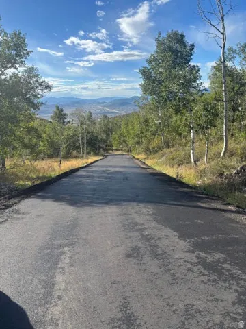 Paved road surrounded by mature trees, with a distant mountain range under a blue sky
