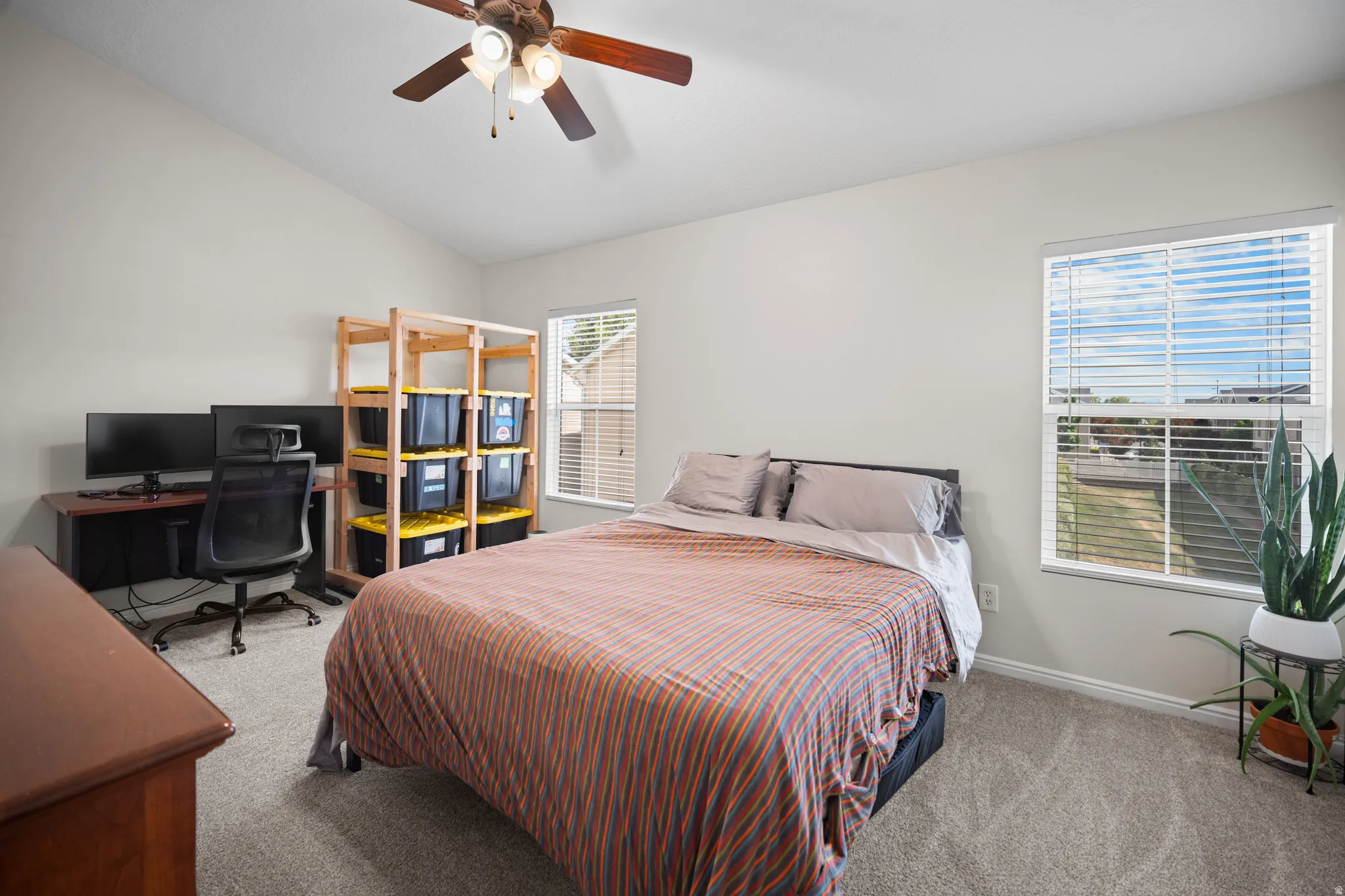 Vaulted ceiling bedroom with a ceiling fan, two windows with blinds, and carpet flooring