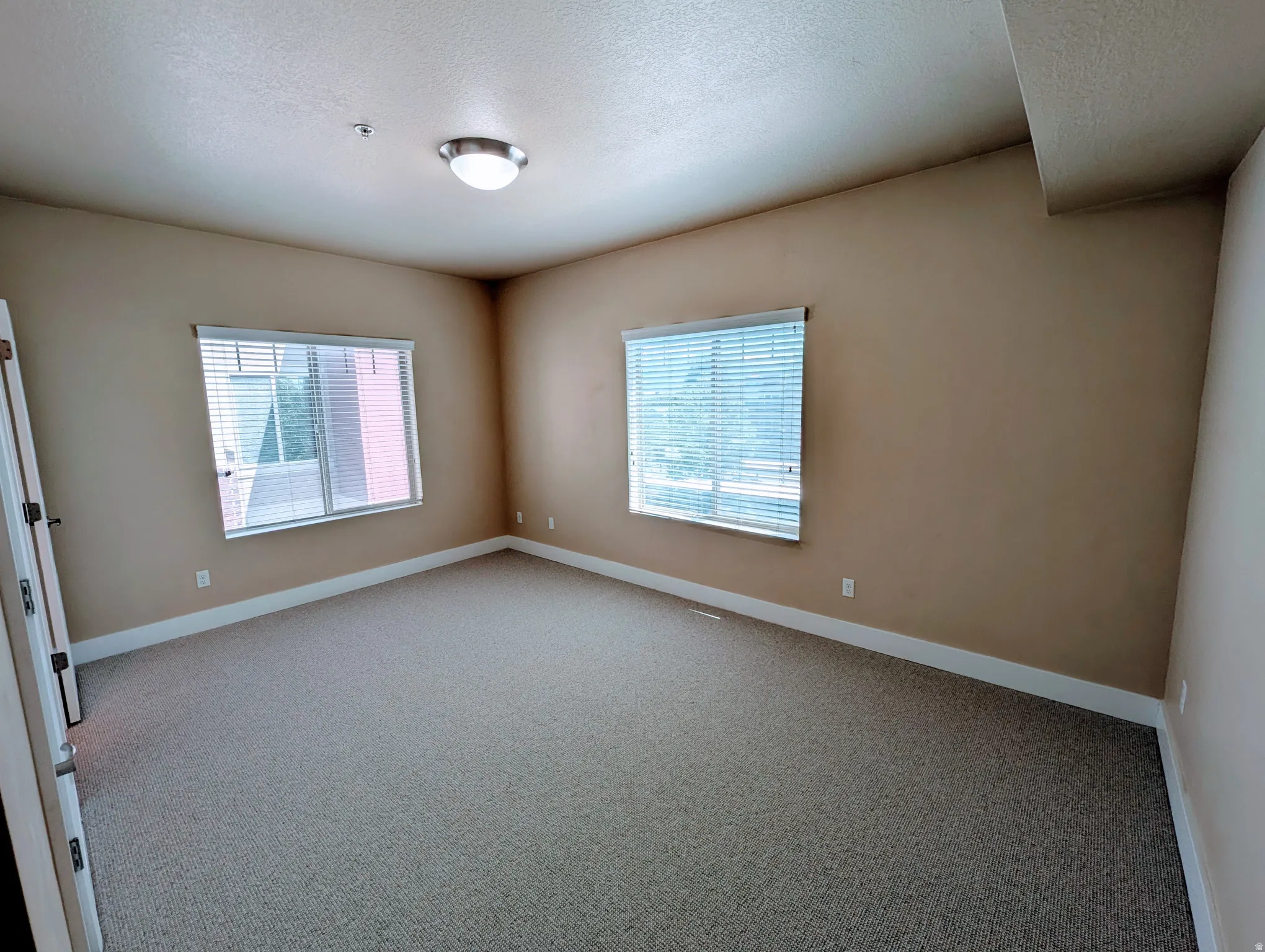 Spacious room featuring neutral carpeting, two windows with horizontal blinds, and a flush mount ceiling light fixture