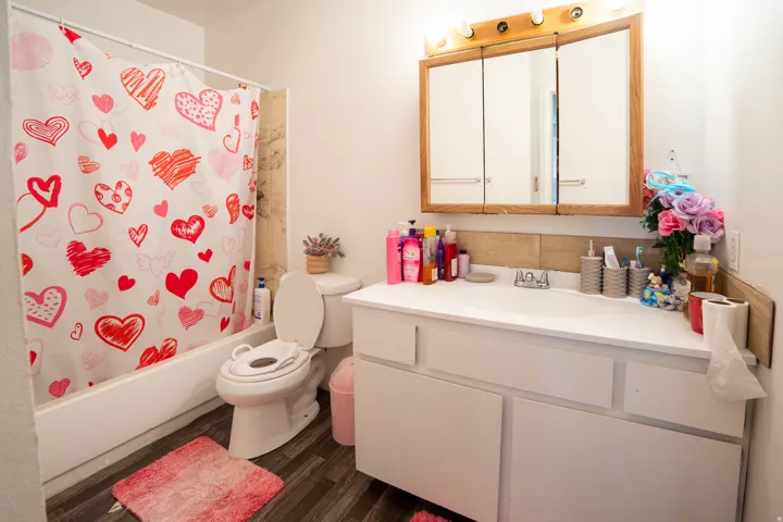 Bathroom featuring wood-finish flooring, a white vanity with an integrated sink, and a mirrored medicine cabinet with wood framing