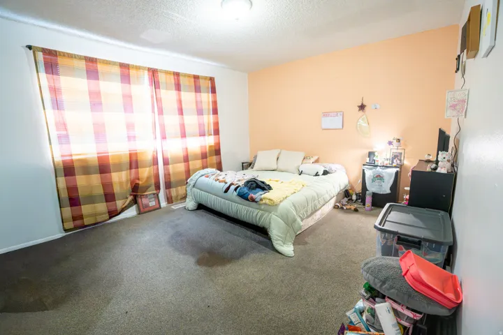 Carpeted interior space featuring a large window with plaid drapes, a ceiling-mounted light fixture, and a peach accent wall