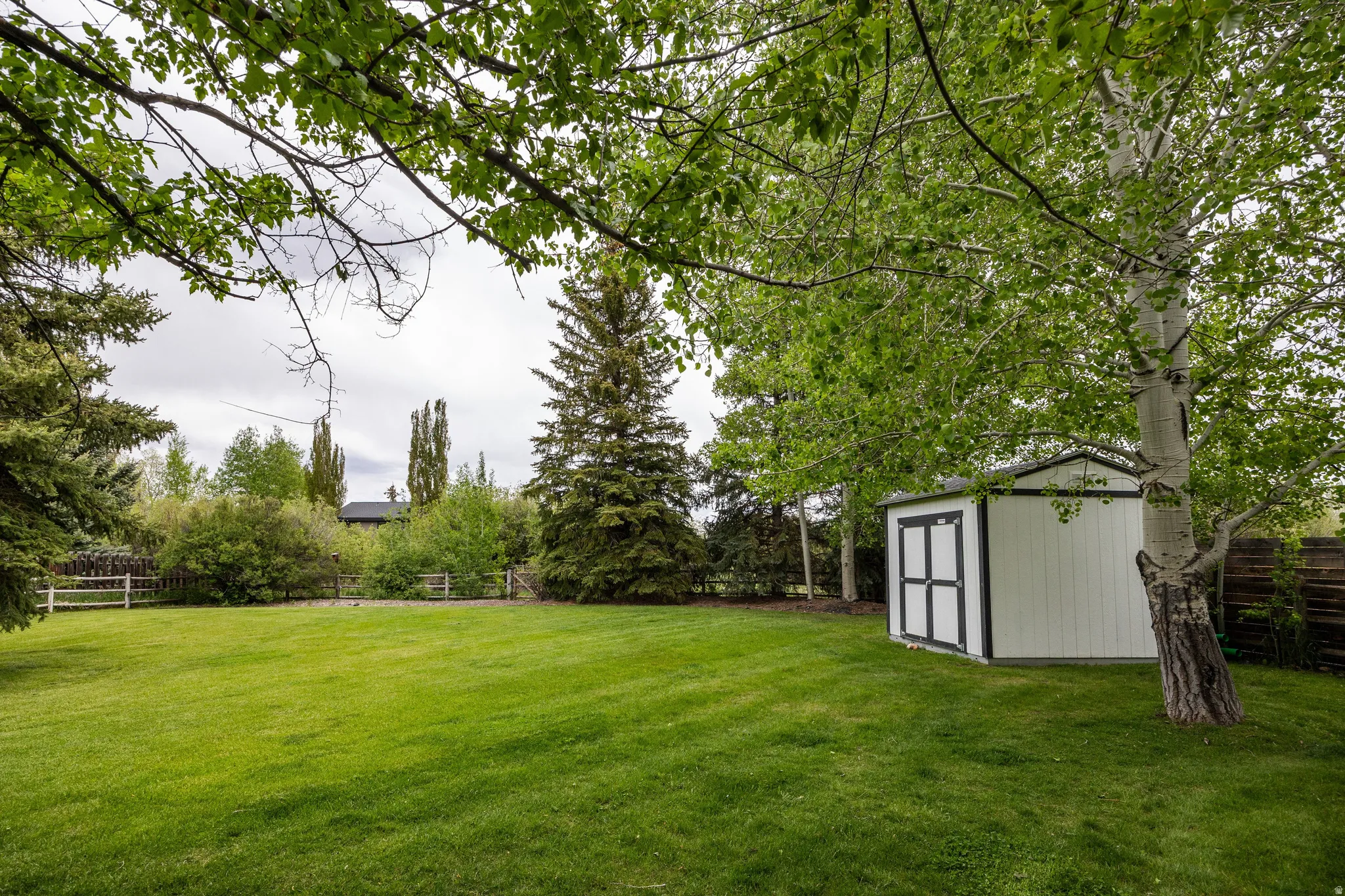 Expansive lawn featuring a storage shed with white siding and black trim
