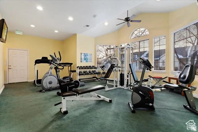 Dedicated fitness space featuring ample natural light from multiple windows, a vaulted ceiling with a ceiling fan, recessed lighting, and durable carpet flooring
