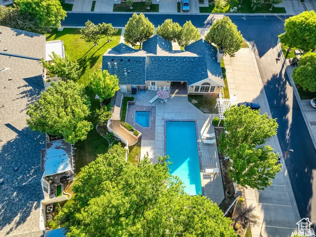 Rear exterior featuring a rectangular swimming pool, an elevated spa, extensive concrete decking, a white pergola, and mature trees