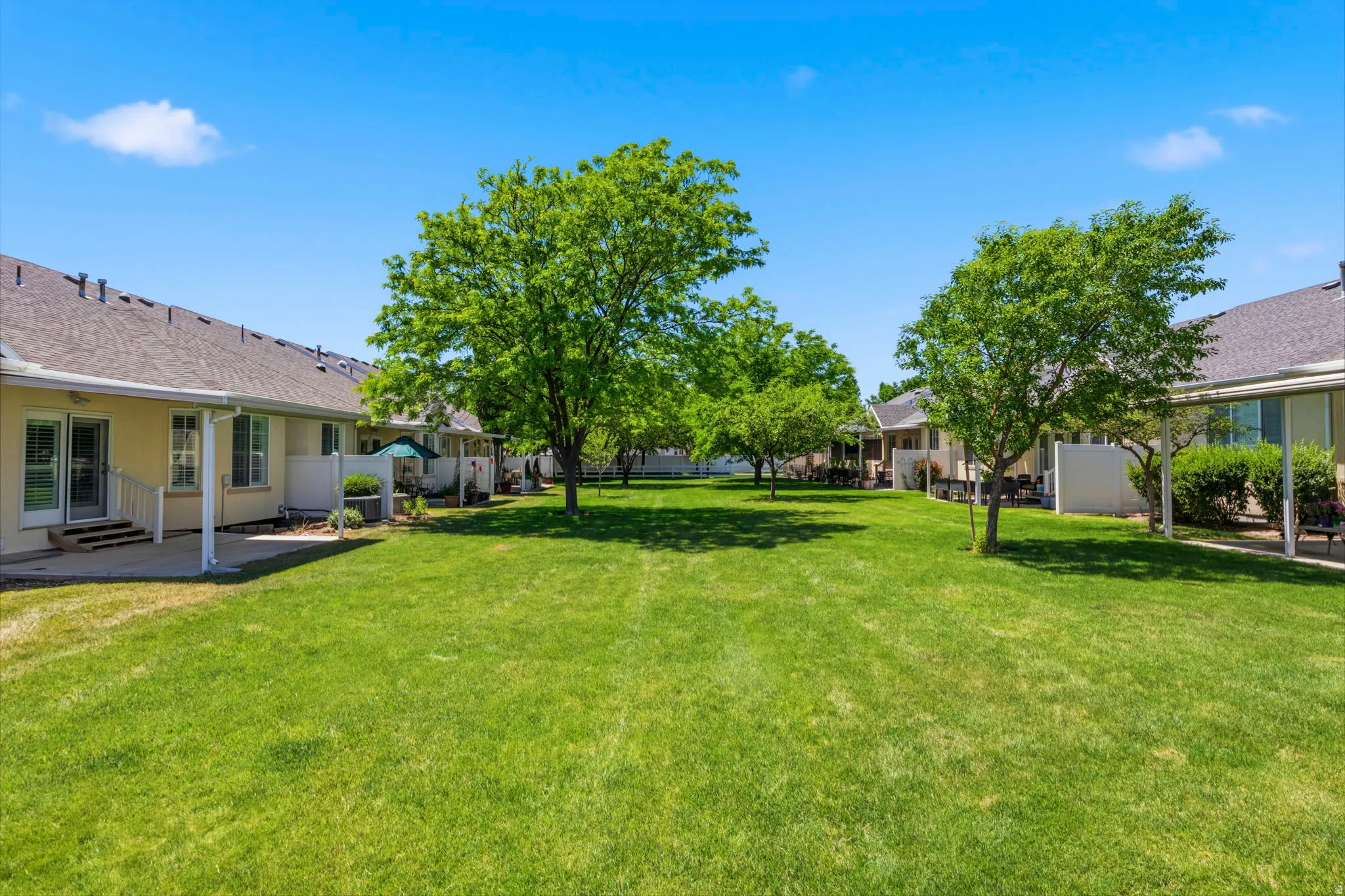 Spacious common green space featuring mature trees and manicured lawns