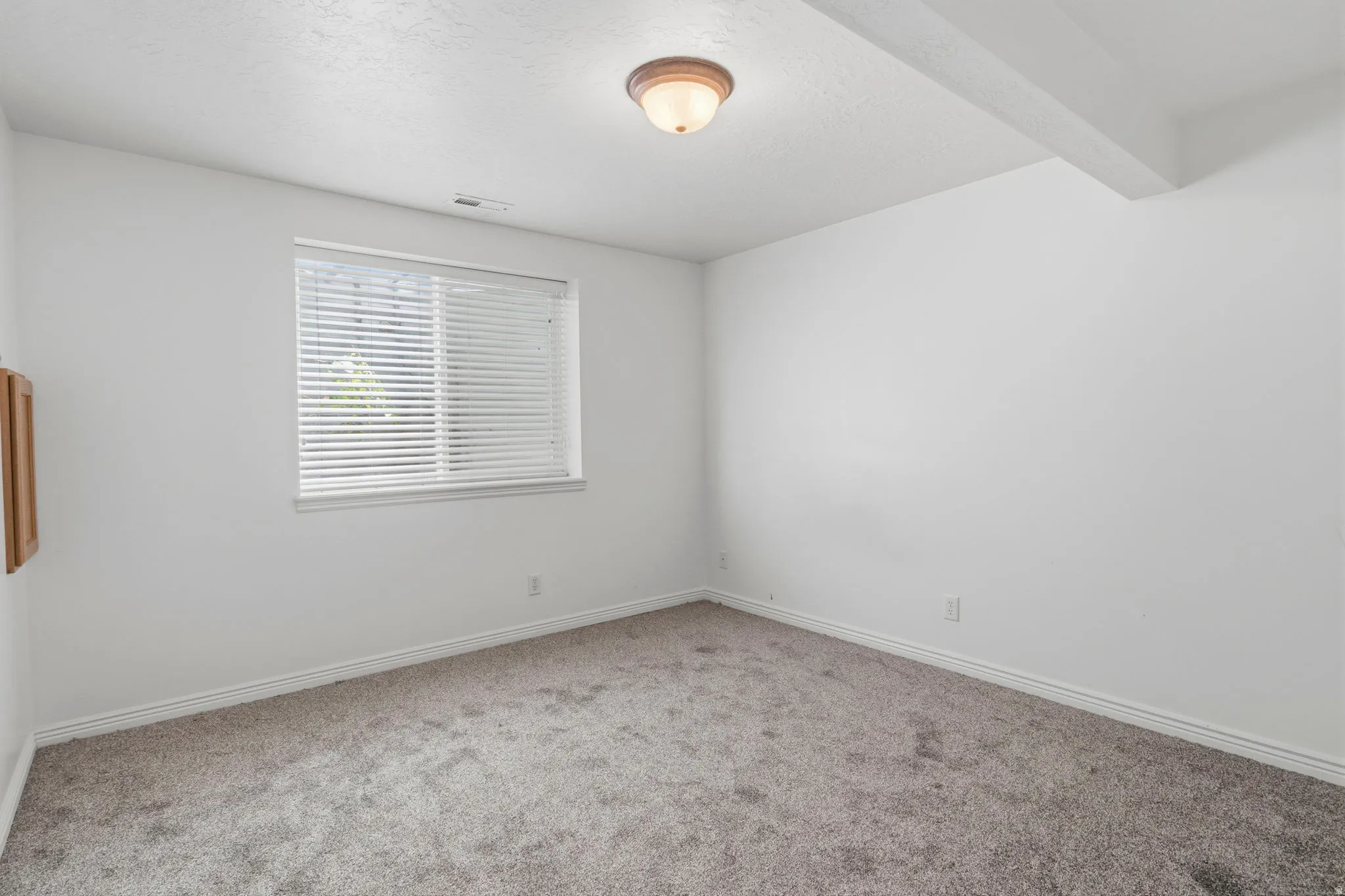1 of 2 bedrooms in the basement
