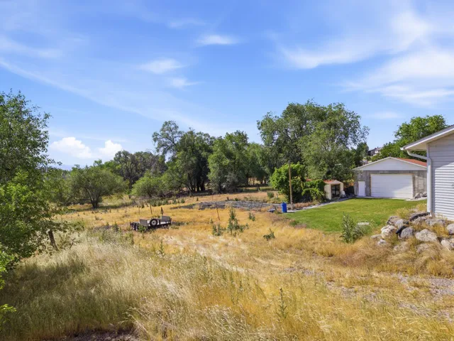 Expansive property featuring mature trees, a detached garage with a white roll-up door, a separate outbuilding, and a grassy lawn area